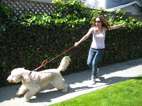 Leash Training