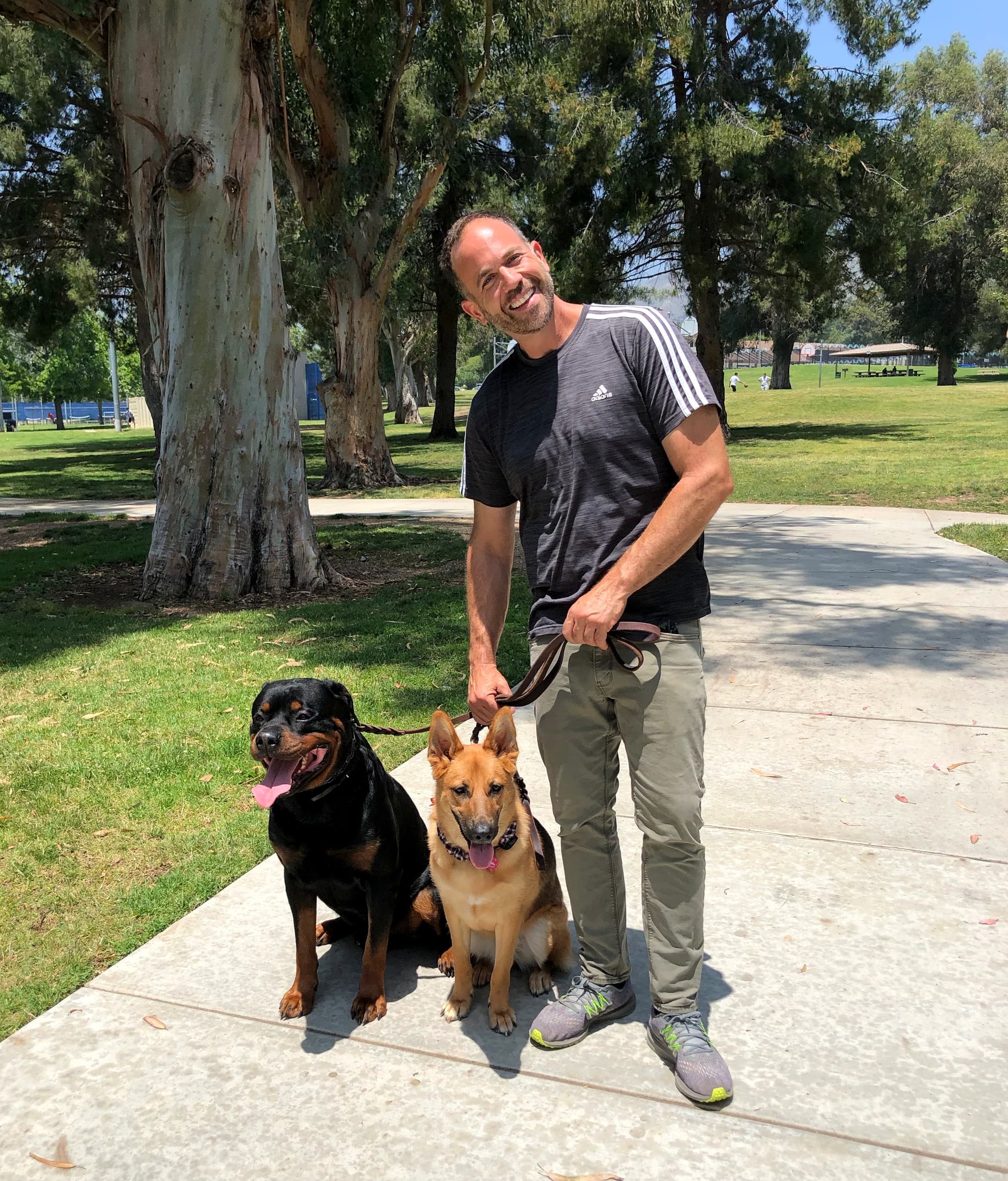 German Shepherd Training in Los Angeles