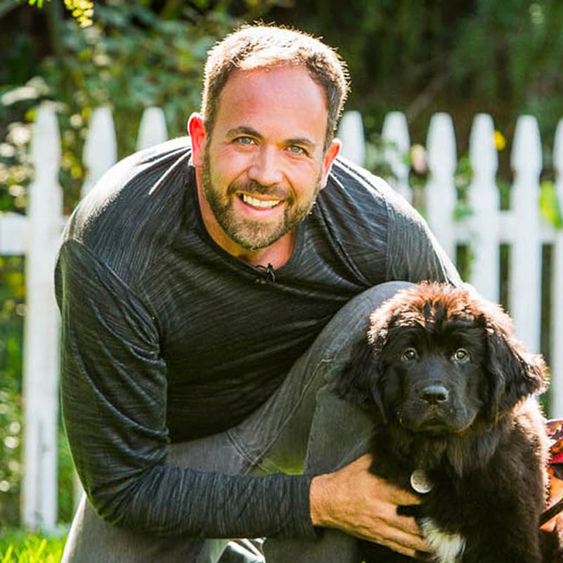 Dog training in Los Angeles, California